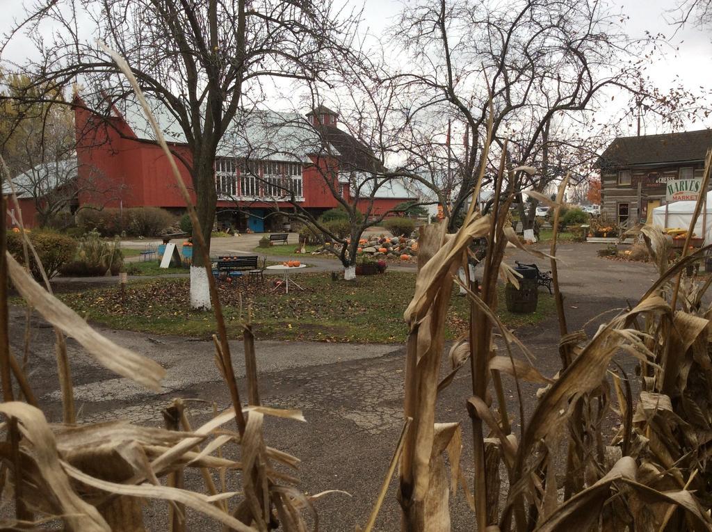 Countryside Inn Nappanee Buitenkant foto