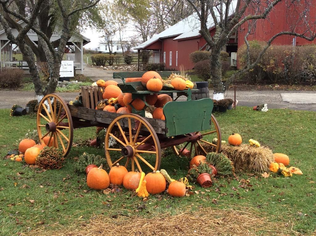 Countryside Inn Nappanee Buitenkant foto